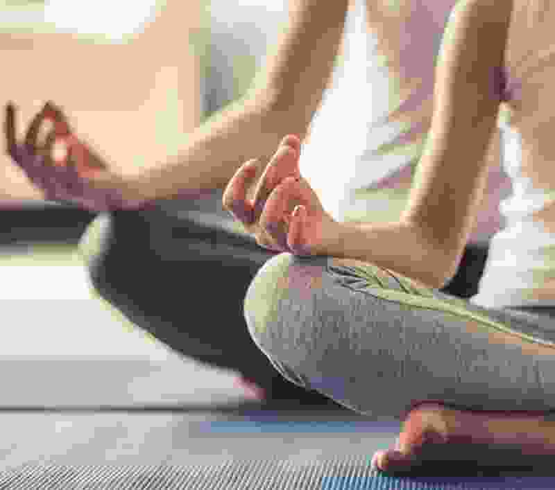 MonkMindWellnessResort